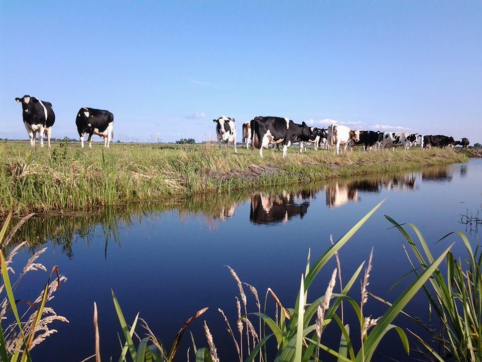 Boerderij Honswijck Casa de hóspedes Weesp Exterior foto